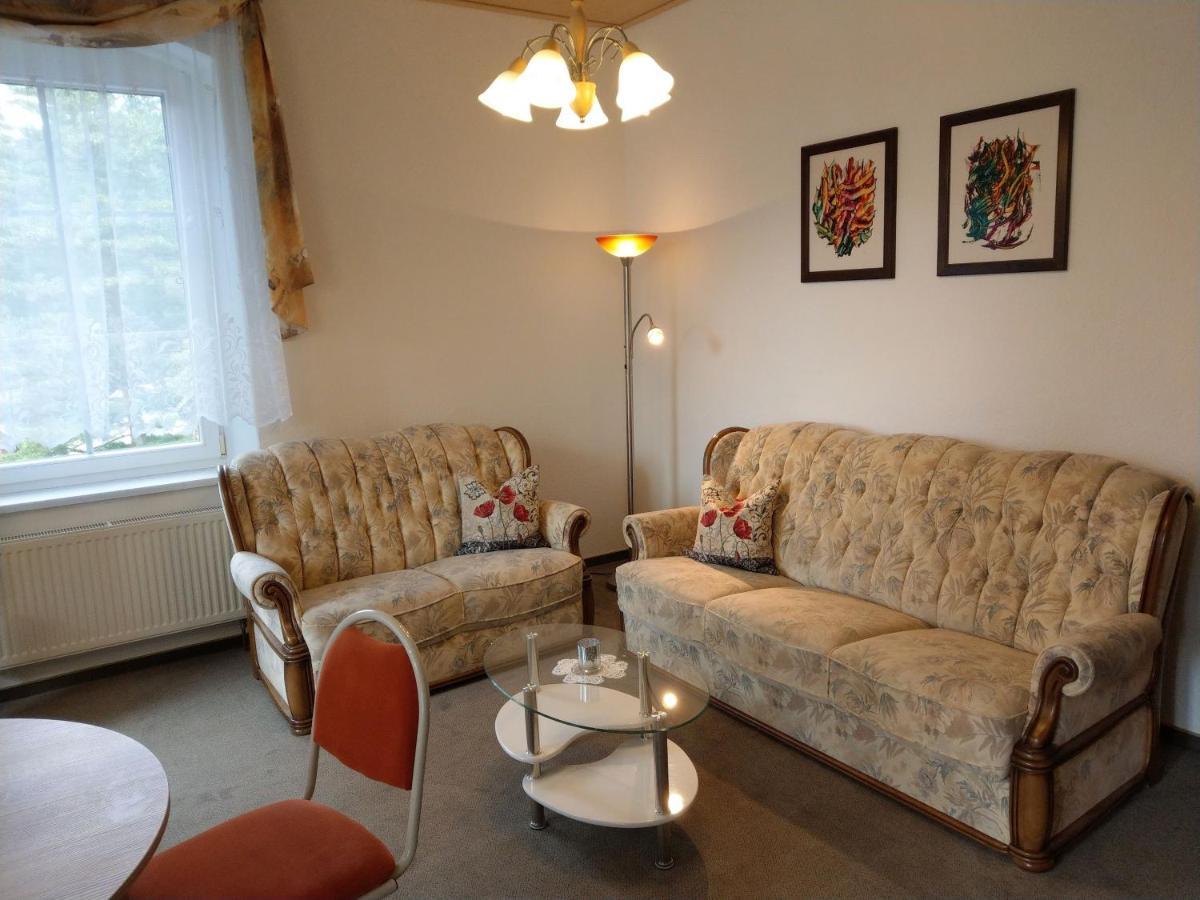Villa Angelika Altenberg  Zewnętrze zdjęcie