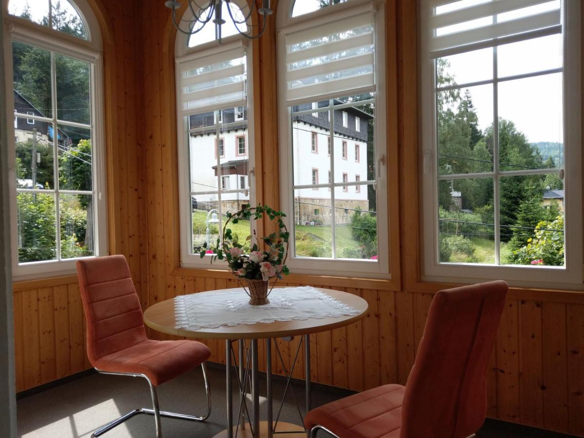 Villa Angelika Altenberg  Zewnętrze zdjęcie