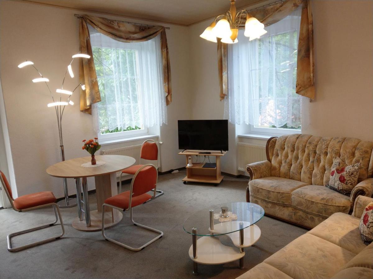 Villa Angelika Altenberg  Zewnętrze zdjęcie