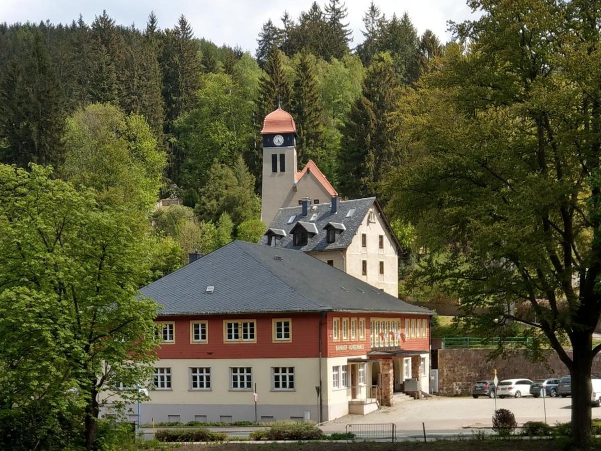 Villa Angelika Altenberg  Zewnętrze zdjęcie