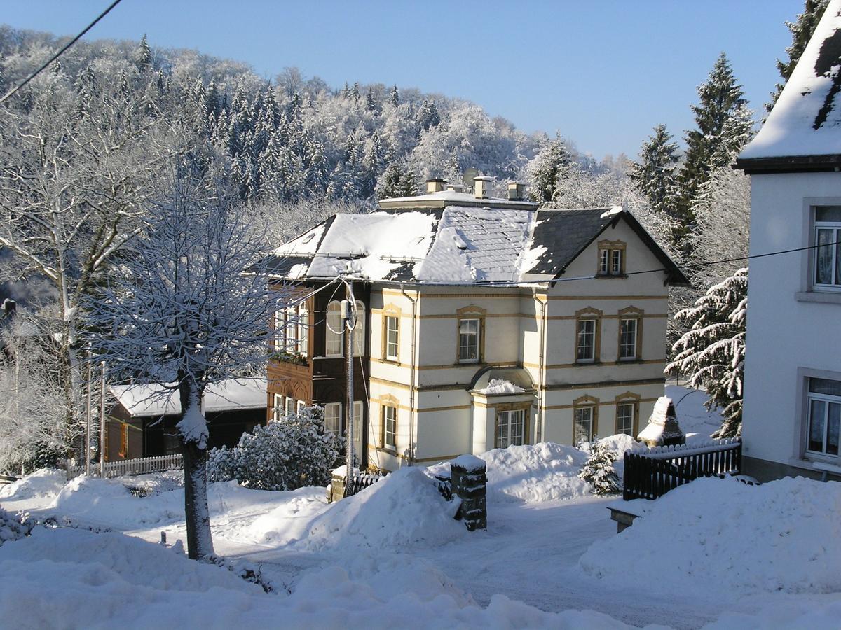 Villa Angelika Altenberg  Zewnętrze zdjęcie