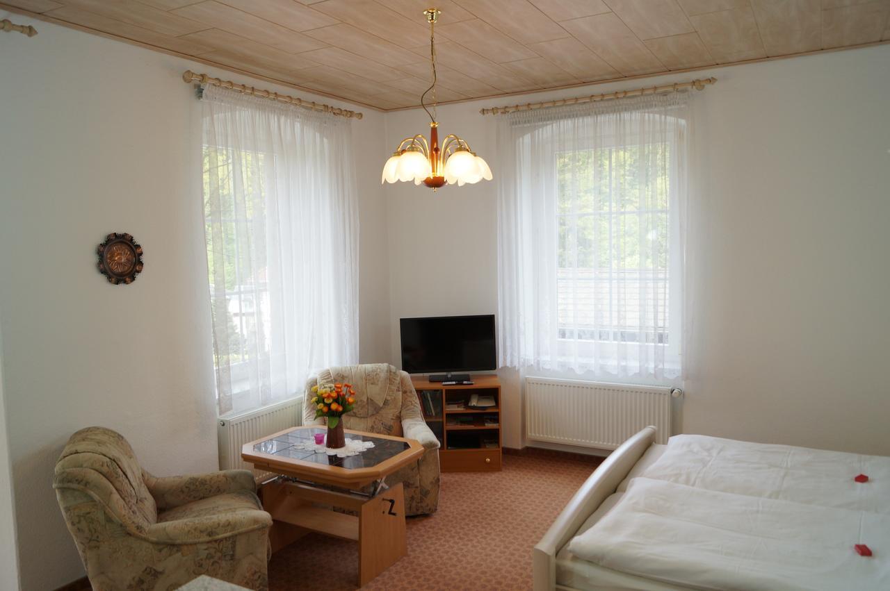 Villa Angelika Altenberg  Zewnętrze zdjęcie