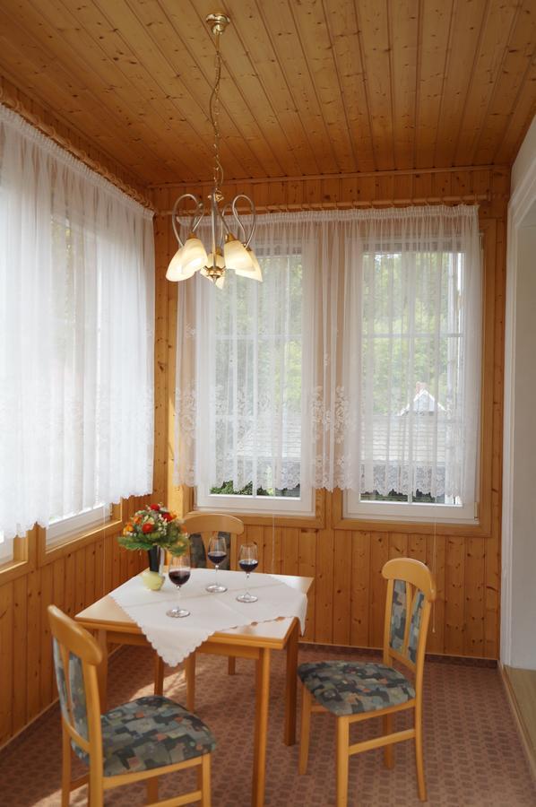 Villa Angelika Altenberg  Zewnętrze zdjęcie
