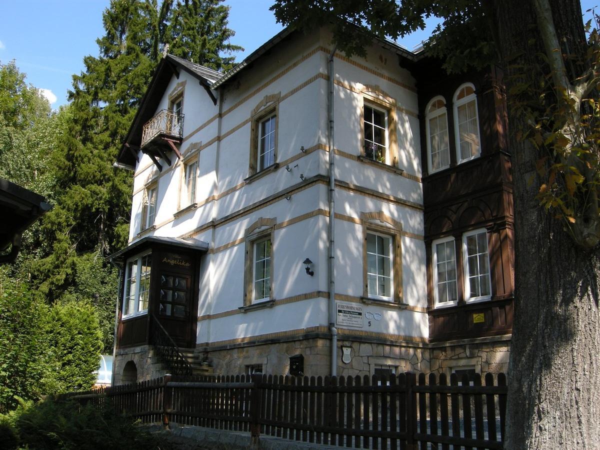 Villa Angelika Altenberg  Zewnętrze zdjęcie