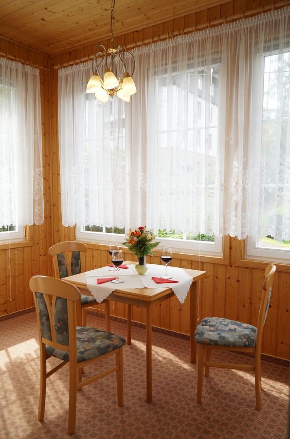 Villa Angelika Altenberg  Zewnętrze zdjęcie